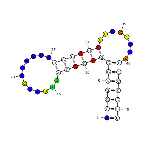 Rna Sequence Alignment Program